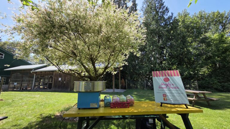 shaylas sweet treats cotton candy rental setup outdoor event 768x432