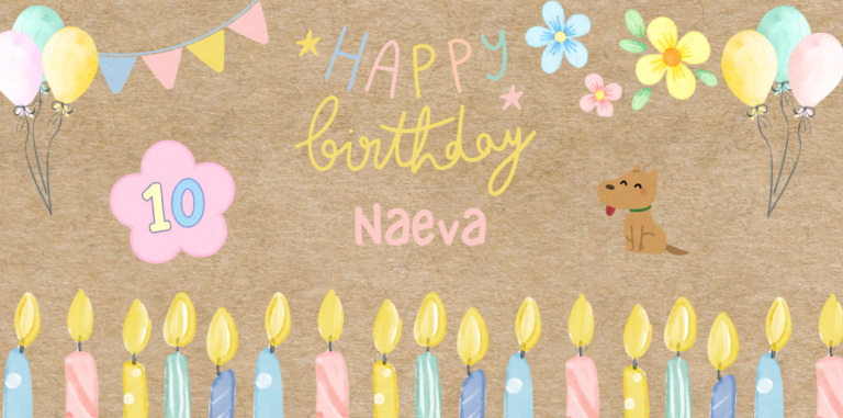 The Langley Party People custom birthday banner